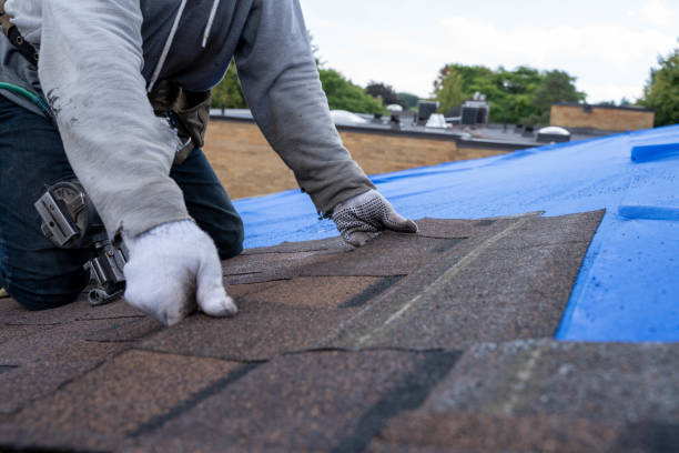 Best Flat Roof Repair Services  in Walnut, IL